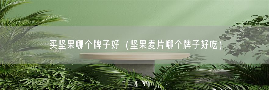 买坚果哪个牌子好（坚果麦片哪个牌子好吃）(1)