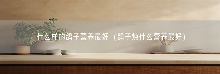 什么样的鸽子营养最好（鸽子炖什么营养最好）(1)