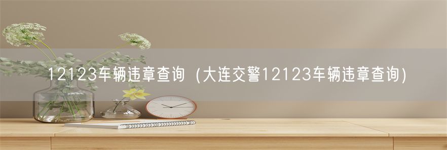 12123车辆违章查询（大连交警12123车辆违章查询）(1)