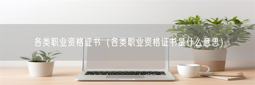 各类职业资格证书（各类职业资格证书是什么意思）(1)