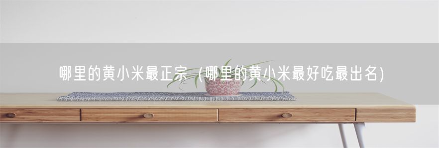 哪里的黄小米最正宗（哪里的黄小米最好吃最出名）(1)