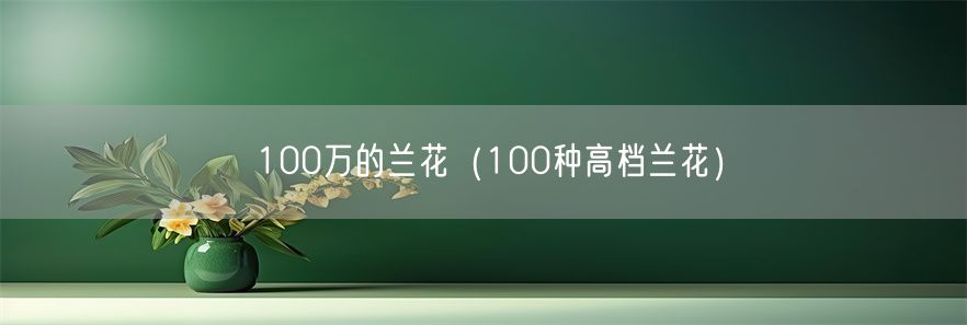 100万的兰花（100种高档兰花）(1)