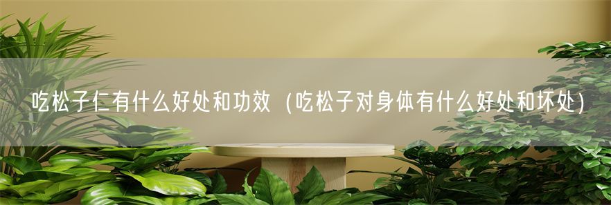 吃松子仁有什么好处和功效（吃松子对身体有什么好处和坏处）(1)