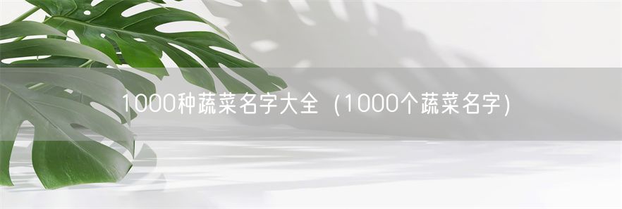 1000种蔬菜名字大全（1000个蔬菜名字）(1)