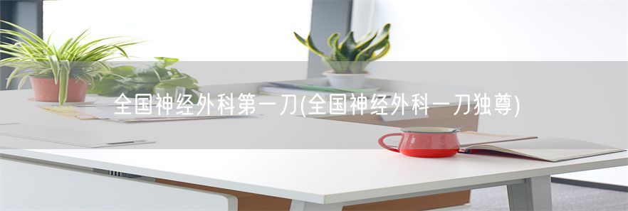 全国神经外科第一刀(全国神经外科一刀独尊)(1)