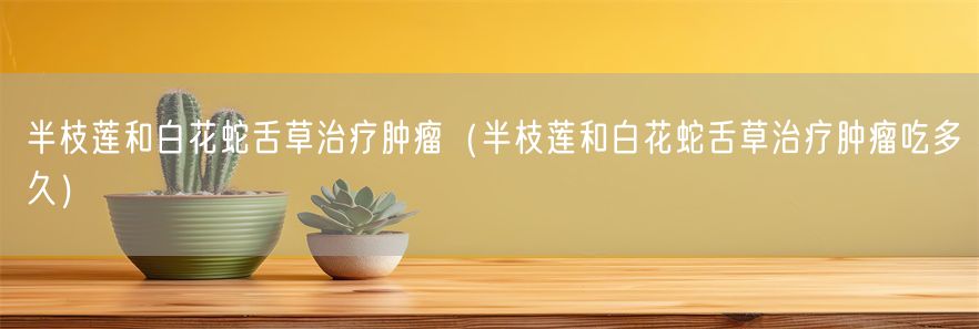 半枝莲和白花蛇舌草治疗肿瘤（半枝莲和白花蛇舌草治疗肿瘤吃多久）(1)
