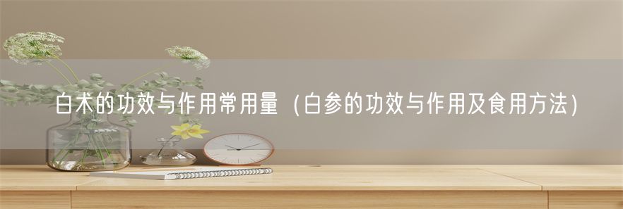 白术的功效与作用常用量（白参的功效与作用及食用方法）(1)
