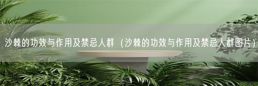 沙棘的功效与作用及禁忌人群（沙棘的功效与作用及禁忌人群图片）(1)