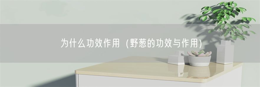 为什么功效作用（野葱的功效与作用）(1)