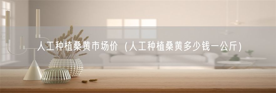 人工种植桑黄市场价（人工种植桑黄多少钱一公斤）(1)