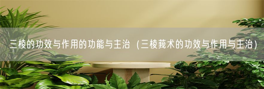 三棱的功效与作用的功能与主治（三棱莪术的功效与作用与主治）(1)