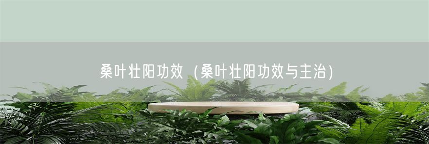 桑叶壮阳功效（桑叶壮阳功效与主治）(1)
