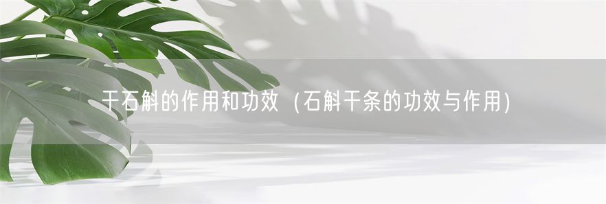 干石斛的作用和功效（石斛干条的功效与作用）(1)