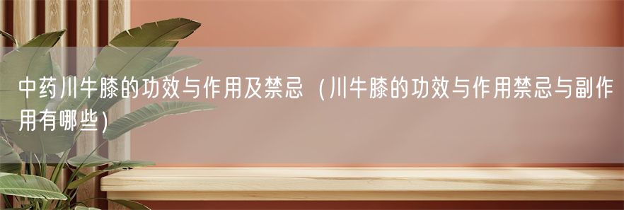 中药川牛膝的功效与作用及禁忌（川牛膝的功效与作用禁忌与副作用有哪些）(1)