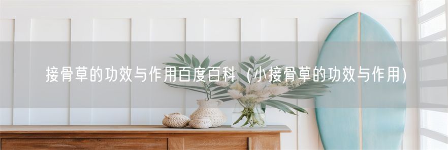 接骨草的功效与作用百度百科（小接骨草的功效与作用）(1)
